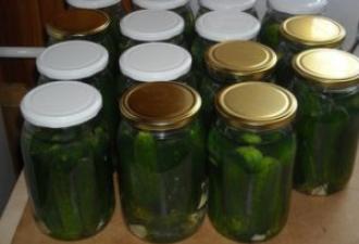 Videoresepti: Vihreät pavut tomaattikastikkeessa Reseptit vihreiden papujen säilytykseen tomaatissa
