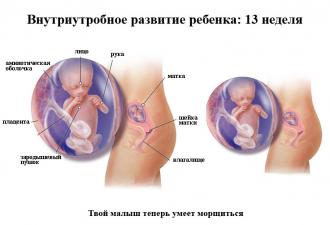 ¿En qué semana de embarazo se puede saber el sexo del bebé mediante ecografía y con qué precisión se determina?