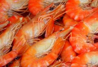 Camarones: los beneficios y daños de los crustáceos