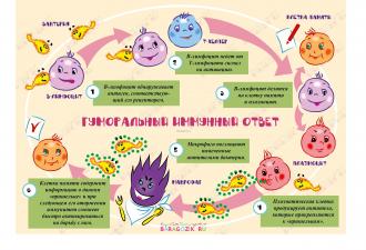 Inmunidad infantil: características de formación, signos y causas del funcionamiento debilitado.
